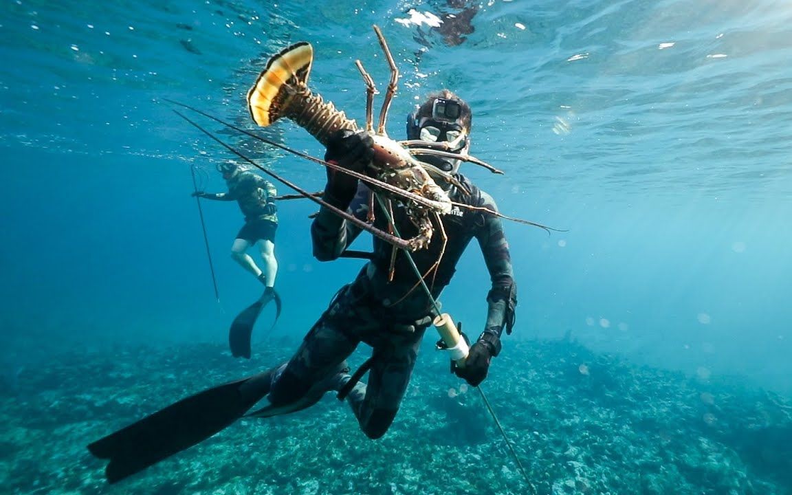 巧用诱饵引鱼上钩