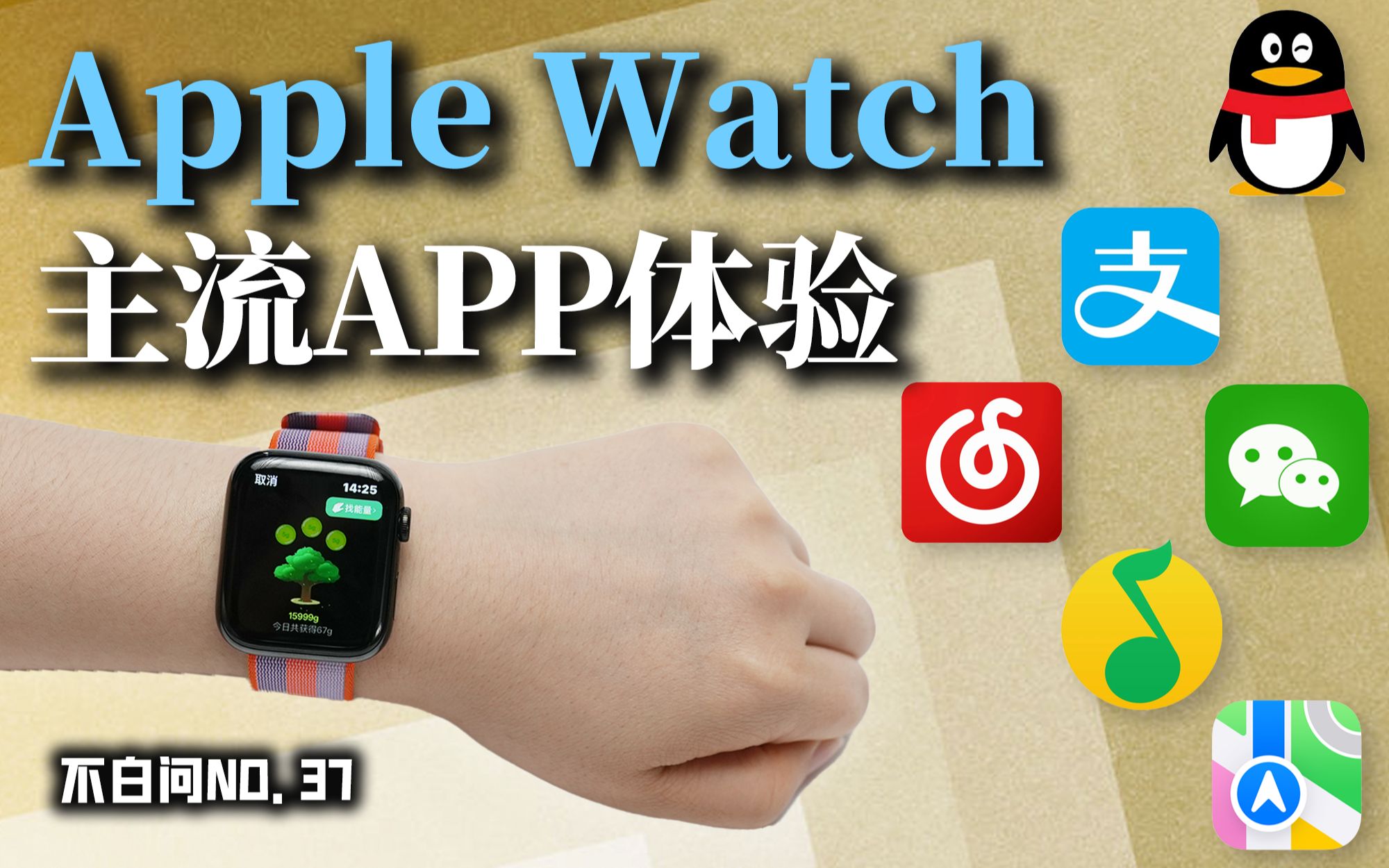 Apple Watch主流软件大体验【不白问37】哔哩哔哩bilibili