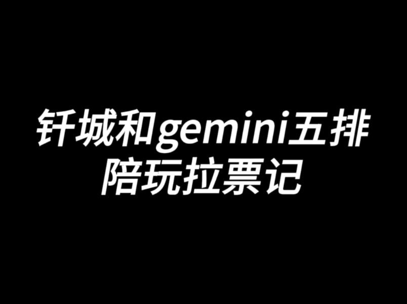 【钎城/gemini】五排陪玩拉票记之小学生群会长