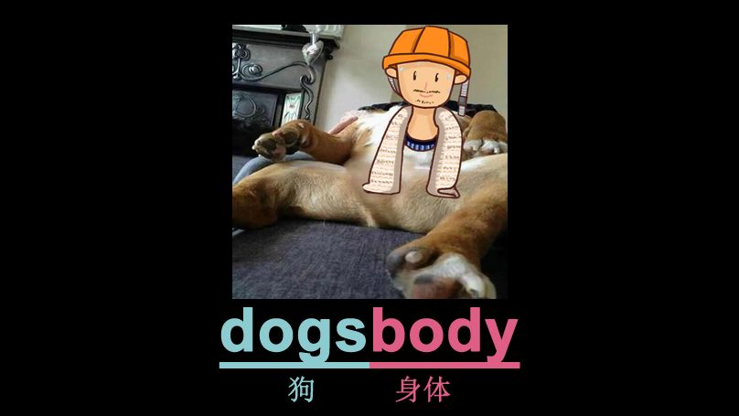 [点关注,单词记更多] 一秒记单词dogsbody哔哩哔哩bilibili