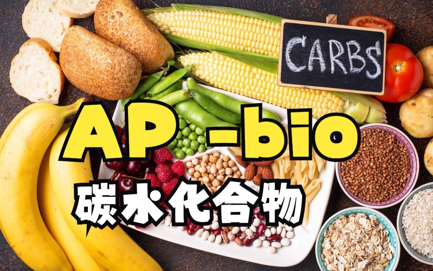 apbio 碳水化合物,有机化学哔哩哔哩bilibili