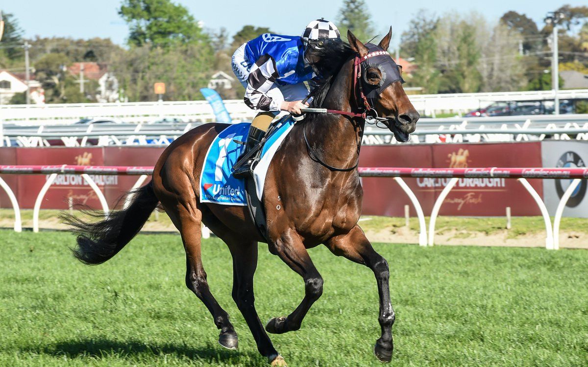 【赛马】2017年澳大利亚杜勒让赛(gⅠ) 东瀛明星(トーセンスターダム)