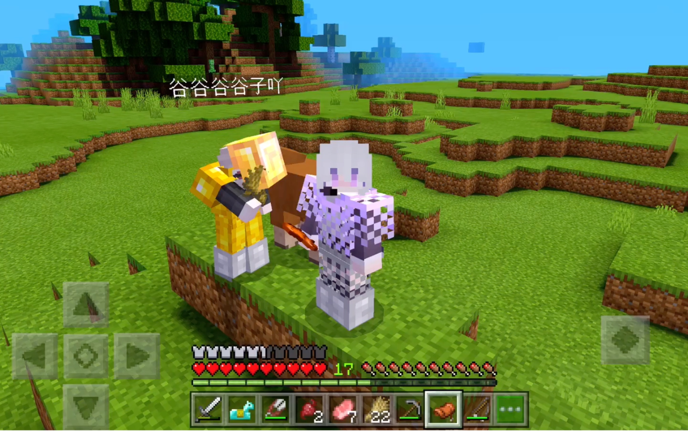 相信我,这是纯生存 第五期 老子学会驯马了!giao 我的世界 mc