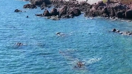 防城港怪石滩是个旅游必打卡的景点,在这里可以看到最清澈的大海,还能在退潮的时候在石头缝里抓螃蟹和捡螺,更能拍到超美的晚霞.哔哩哔哩bilibili