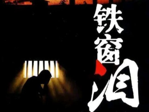 《爬行天下刑拘入狱之后,网友的精彩点评鉴赏》评论信息完全公开,都可以在网络上搜索到哔哩哔哩bilibili