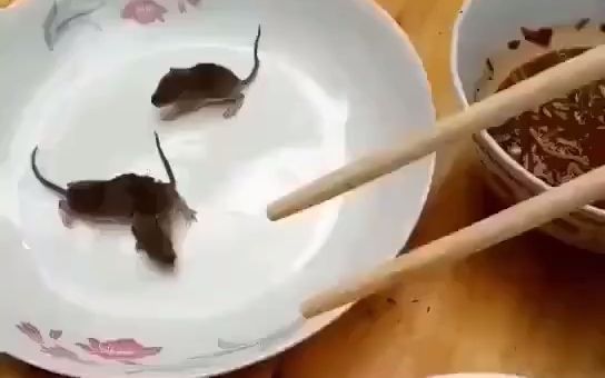 【恶心】三吱儿_哔哩哔哩_bilibili