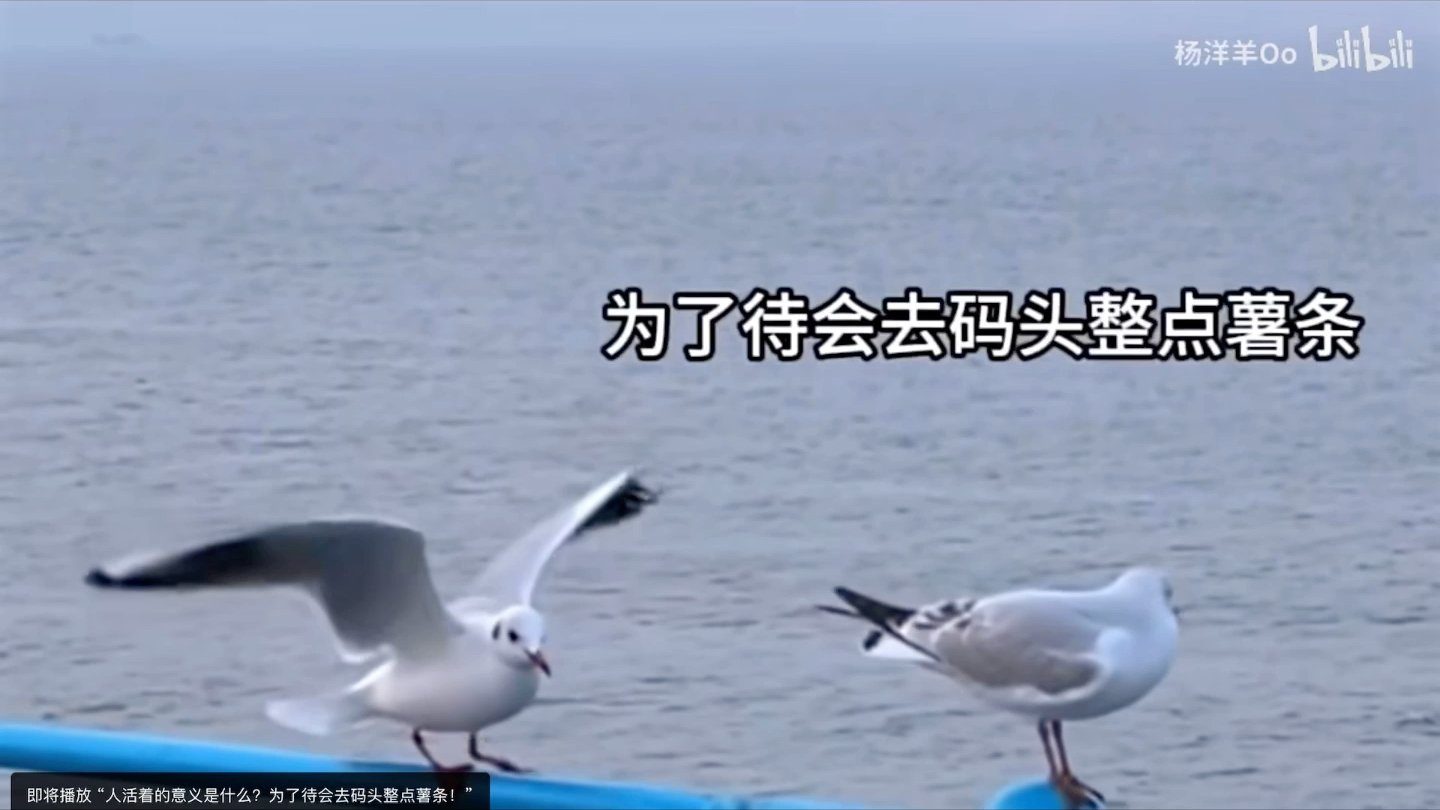 去码头整点儿薯条