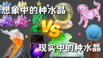 Download Video: 我妈想象中的种水晶VS现实中的种水晶，差别有多大？