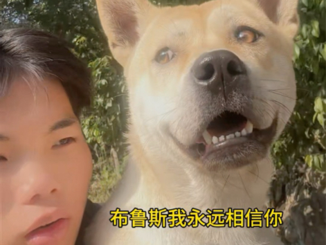 布鲁斯我永远相信你