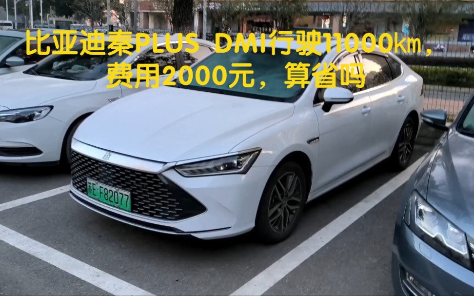 秦PLUS DMI行驶11000km,总费用大约2000元,这算省吗?哔哩哔哩bilibili