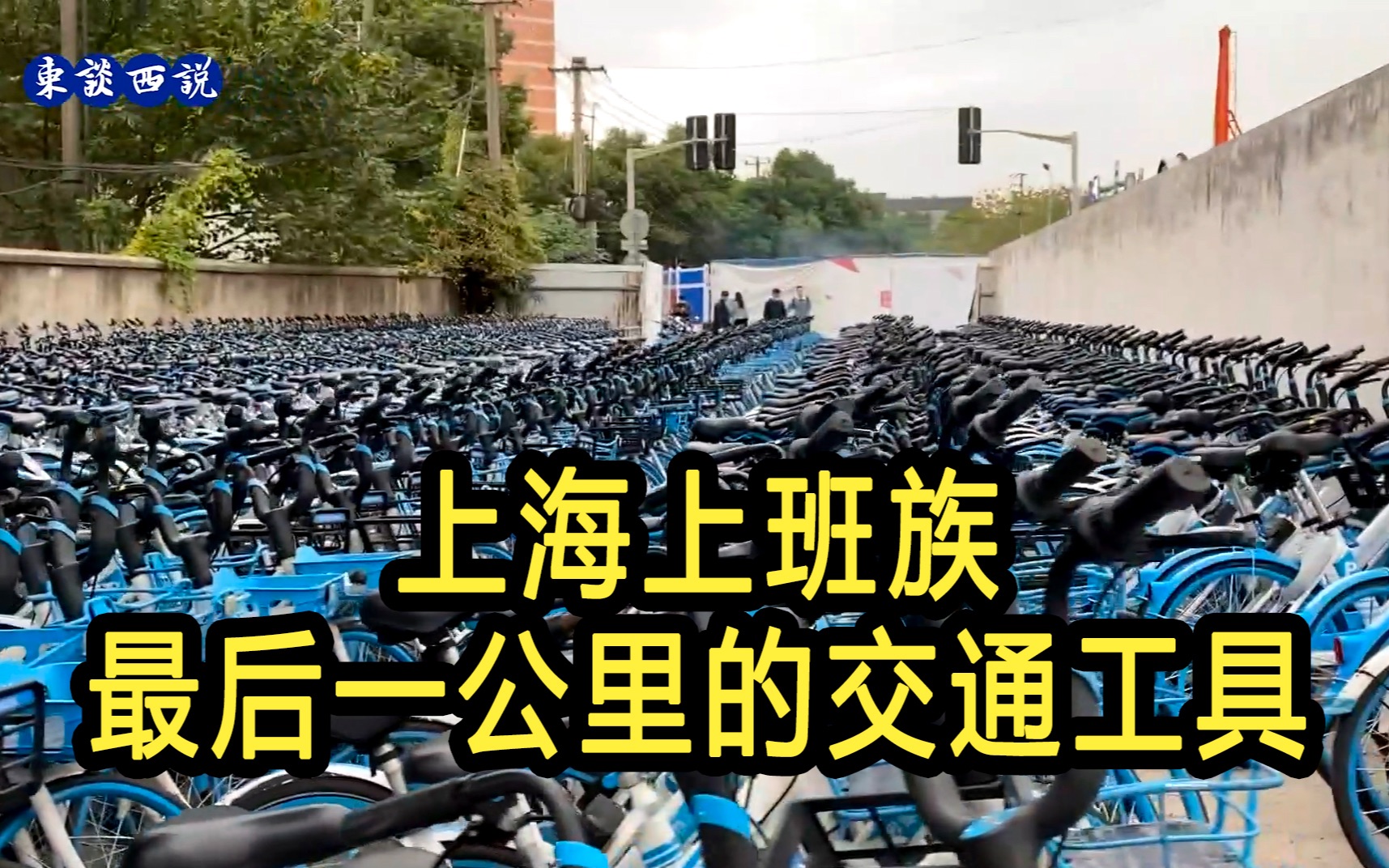 上海上班族最后一公里的交通工具,看看盲区之痛