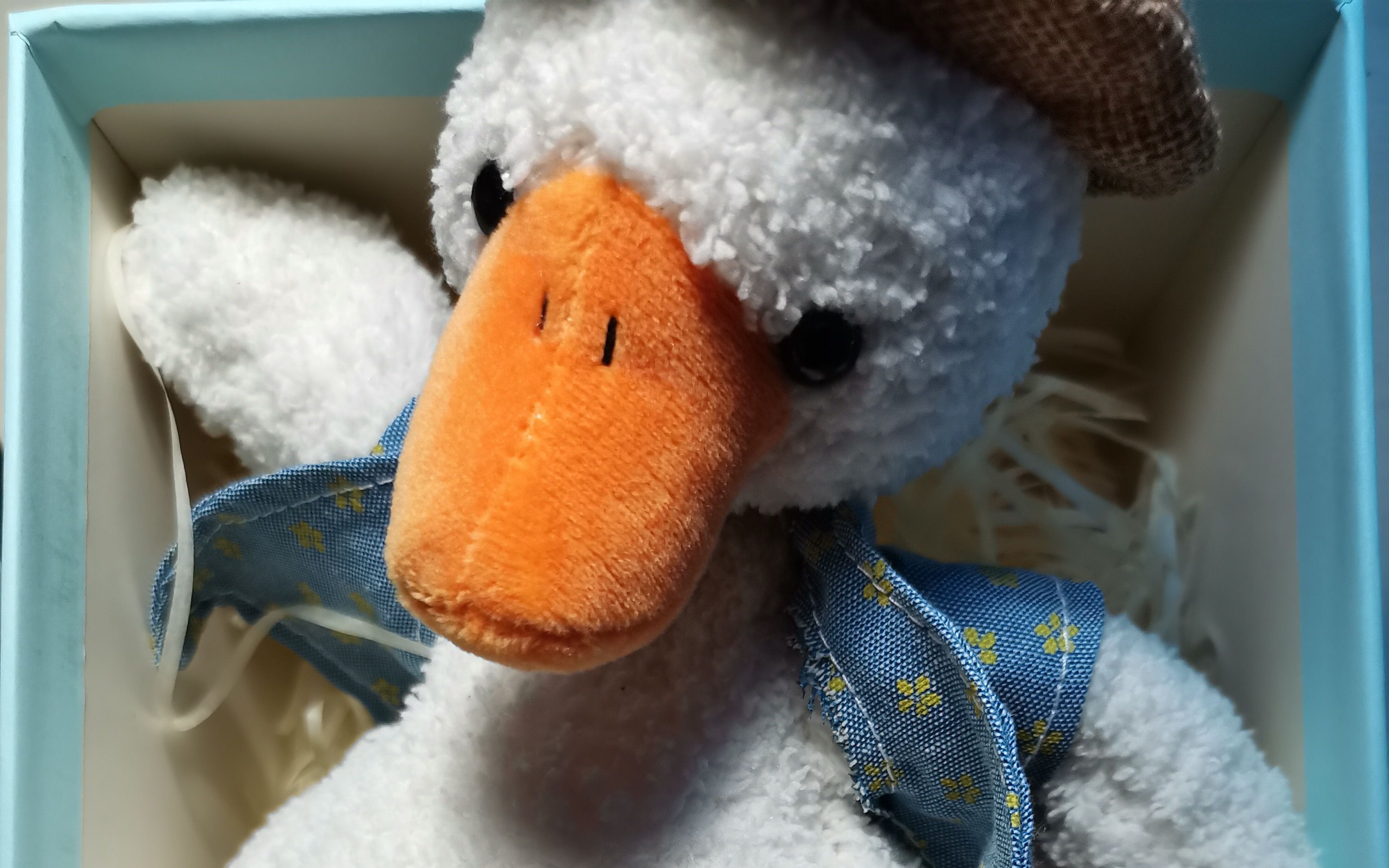 女朋友送的生日礼物开箱,体验淘宝沙雕复读鸭.