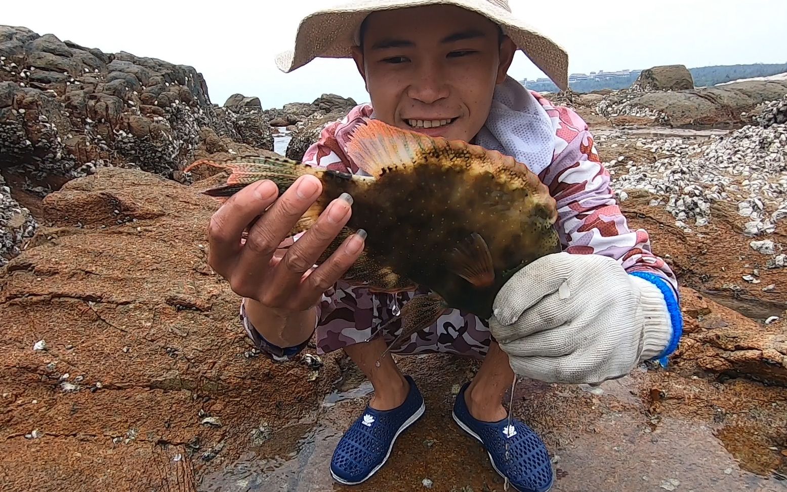 阿忙修好相机回来赶海,没想到第一天就遇上大潮,要叫上如花赶海