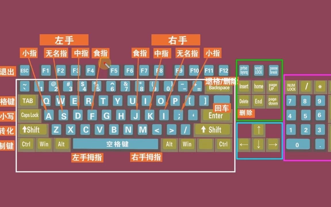 零基础电脑知识,掌握键盘标准指法,打字速度和准确率都可以提高_哔哩