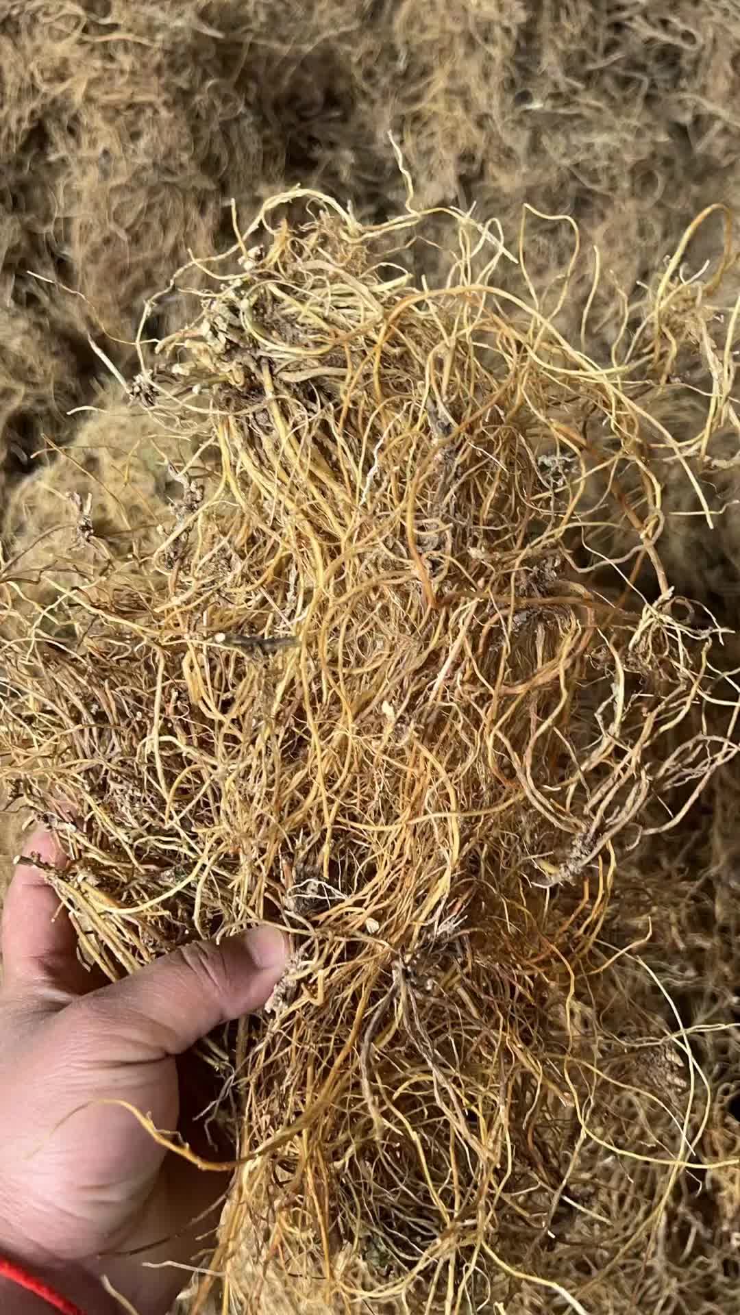 让我们一起推动中药材行业的发展!