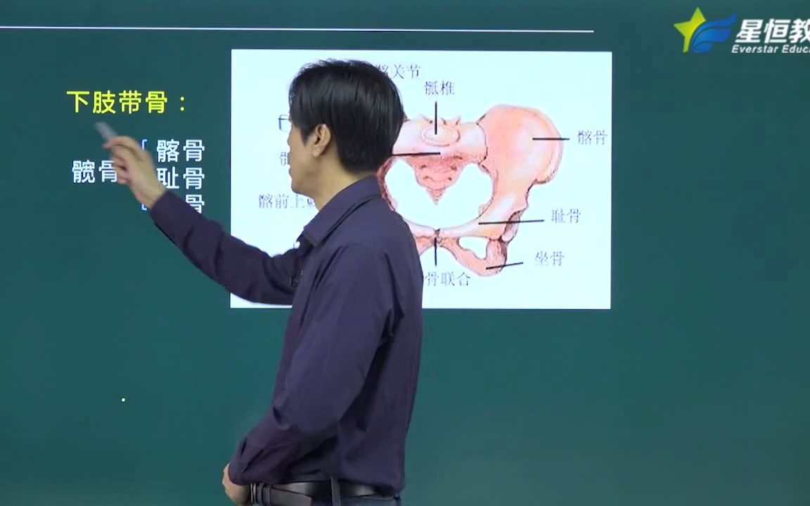 [图]快速拿下解剖学运动系统之骨学（四）