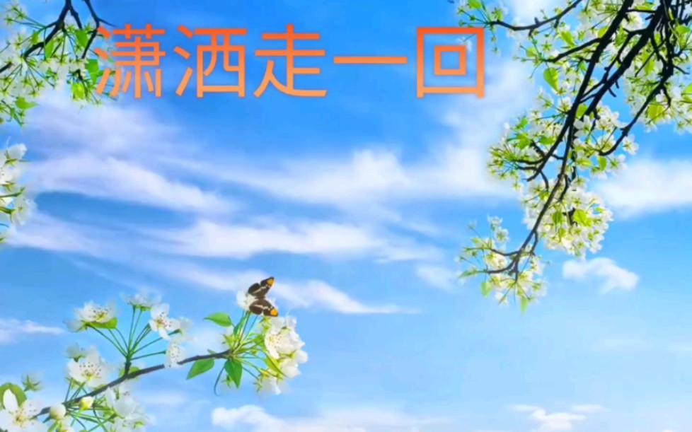 潇洒走一回 人生匆匆,何不潇洒走一回