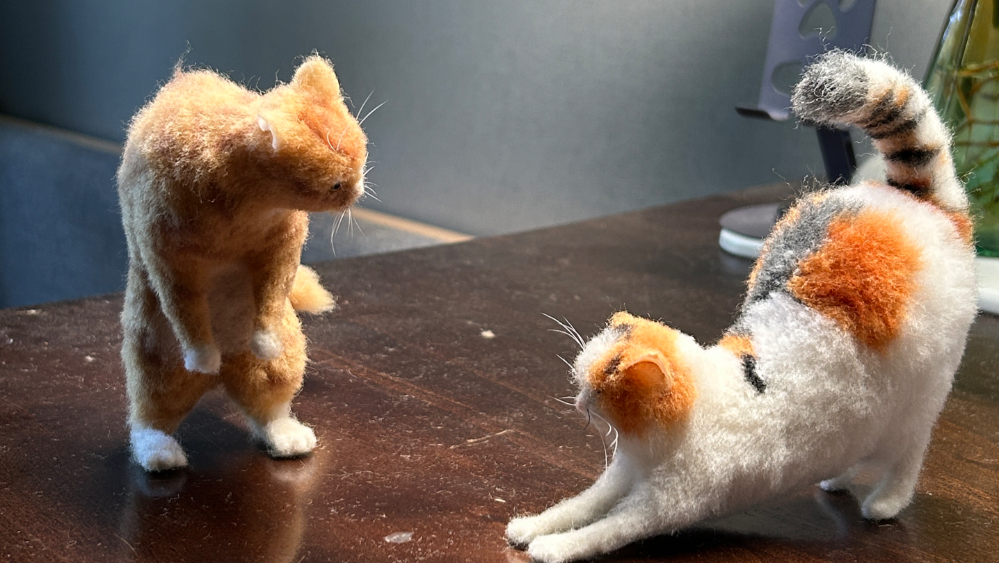 Platform thumbnail for 用羊毛做一只抽象橘猫