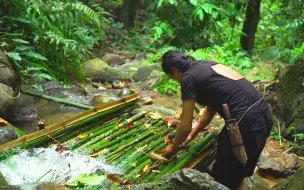 下载视频: 超长完整纪录片，热带雨林野外生存，荒野原始丛林生存挑战记录