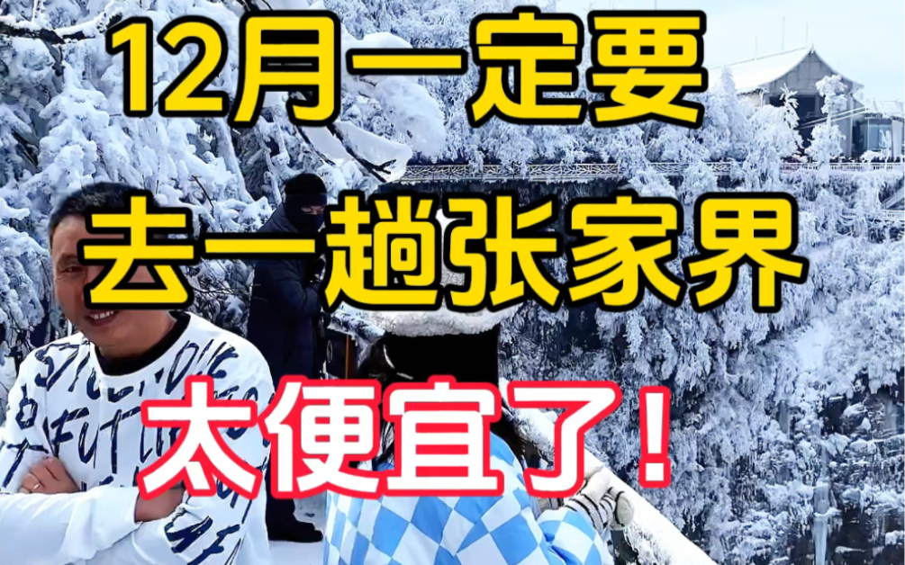 12月一定要去一次张家界,现在淡季费用不高,两人同行一人免单#张家界旅游攻略 #张家界天门山 #旅游推荐哔哩哔哩bilibili