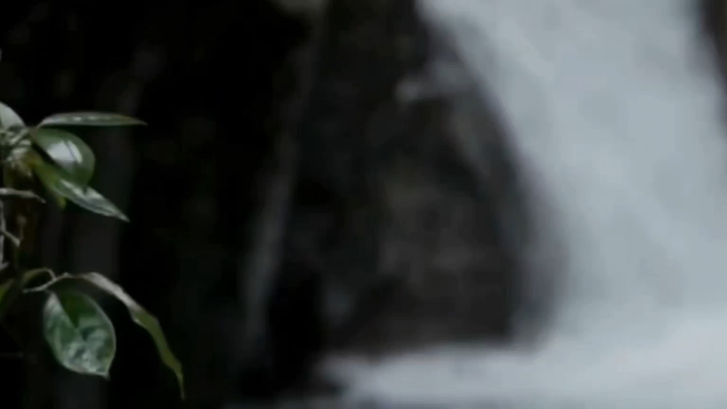 mv -《无忧曲》音画欣赏(箫版) #龙舟 #纯音乐 #箫