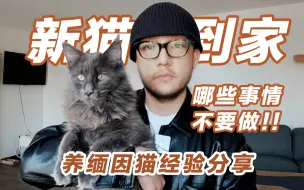 下载视频: 新手接猫｜缅因猫到家哪些事情不能做！