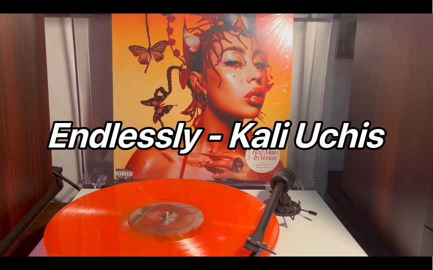 【黑胶试听】Endlessly  Kali Uchis哔哩哔哩bilibili