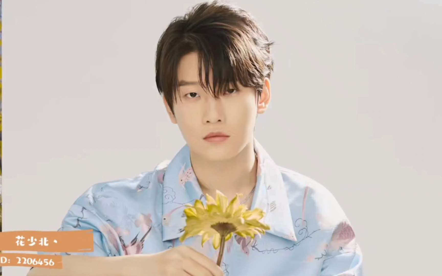 【花少北】new year new up你没看过的新物料 花少北  kb 老番茄 某幻