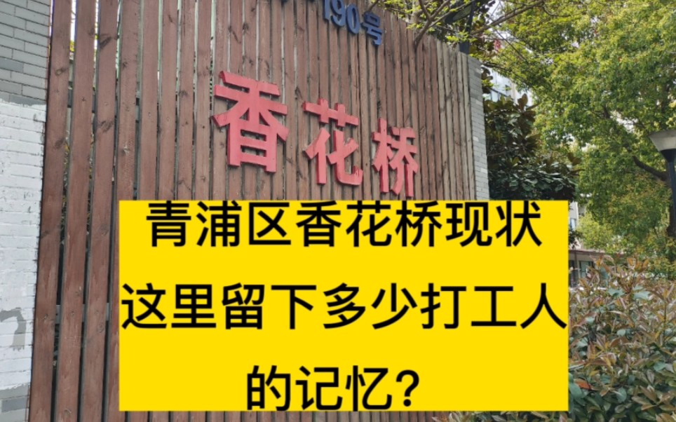 上海青浦区香花桥村现状,曾经满街的打工人不见了哔哩哔哩bilibili