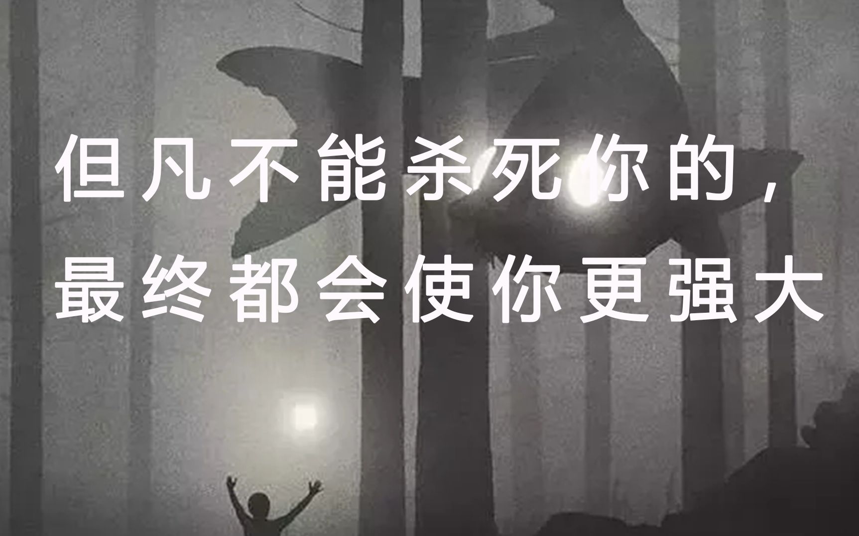 “但凡不能杀死你的,最终都会使你更强大”|尼采语录哔哩哔哩bilibili