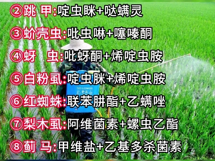 十种常见虫害防治方法哔哩哔哩bilibili