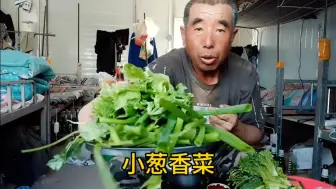 Tải video: 工友说我花5块钱买了一堆草吃！