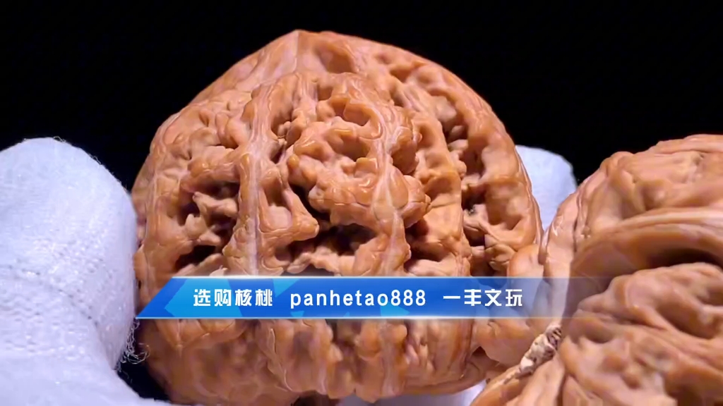 平谷大粗筋孤品51超大尺寸平谷大粗筋品相超级棒,可遇不可求