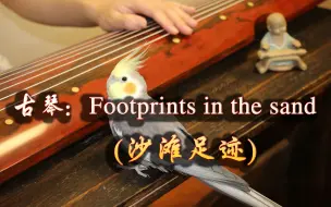 Скачать видео: 【古琴】Footprints in the sand（沙滩足迹），演奏：梅旸&哆哆