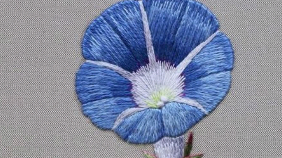 分享千牛花刺绣实例和图案,楚女雾露中,篱上摘牵牛