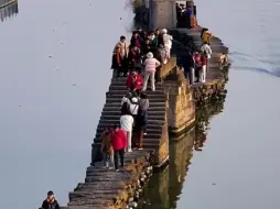 Video herunterladen: 古老而神秘的水上小道，尤如一副美丽动人的水墨画，非常的迷人#难得一见 #旅行