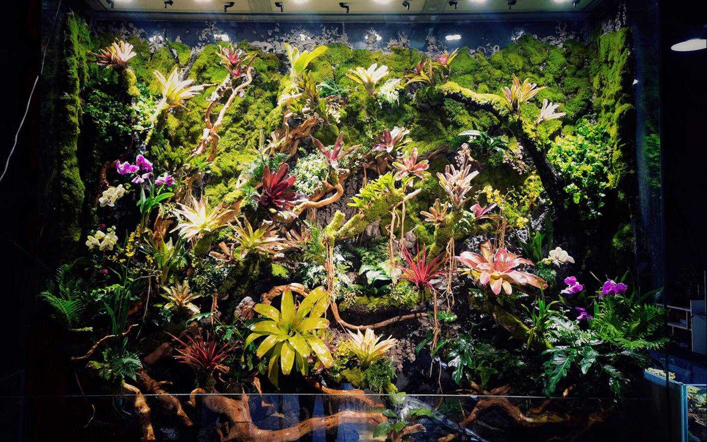 植琢造景大型雨林缸作品