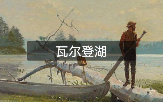 读书  WALDEN  瓦尔登湖哔哩哔哩bilibili