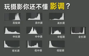 Download Video: 【摄影进阶教程】什么是影调？8节保姆教程一次讲清10大影调