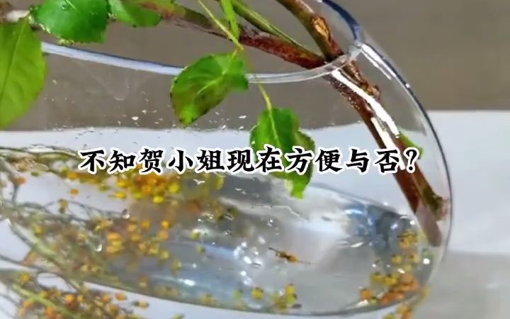 [图]知乎小说推荐《大义万贯》未婚夫君瞧不起我的一身绫罗和万贯家财，却对一个满身补丁的农家女情有独钟。