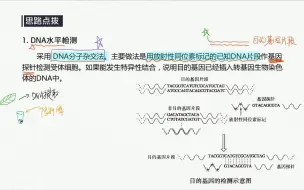 下载视频: 目的基因的检测和鉴定