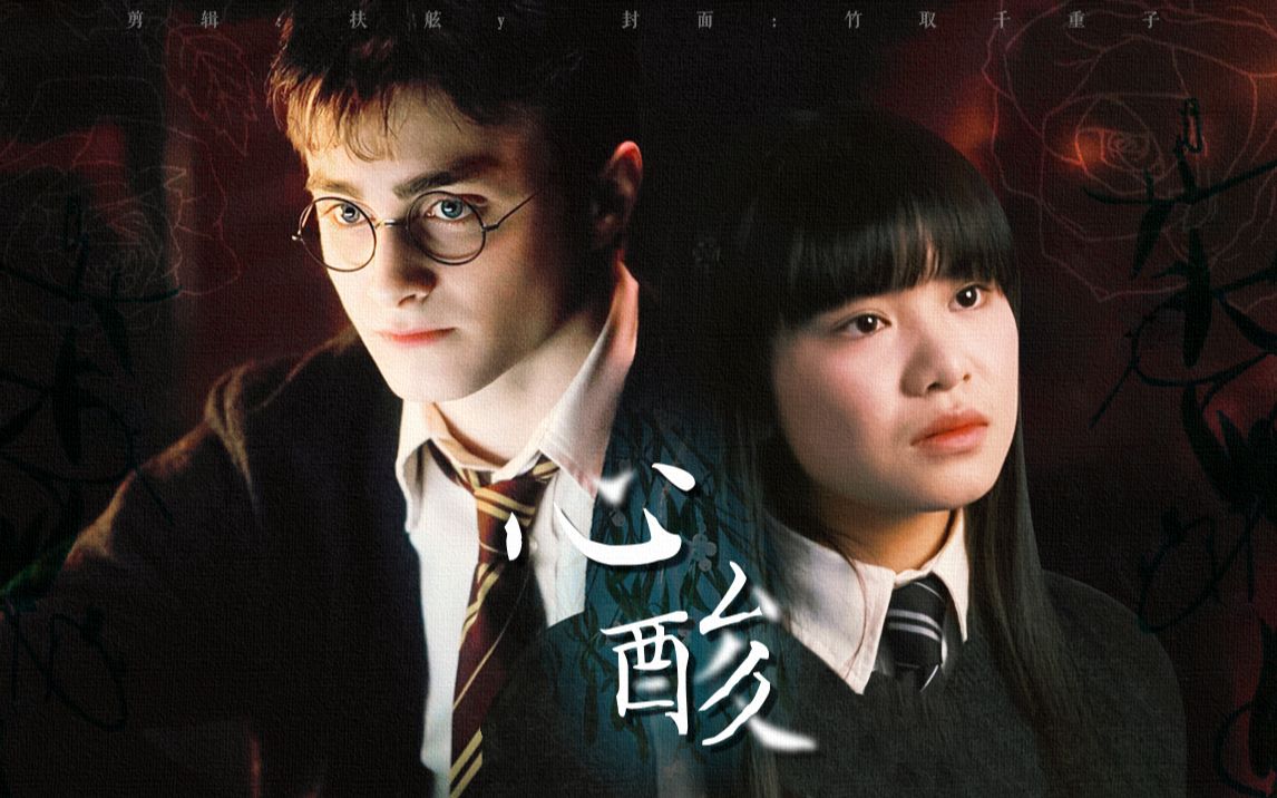 【hp/哈秋/微原著向】心酸 | 槲寄生里有蝻钩吗