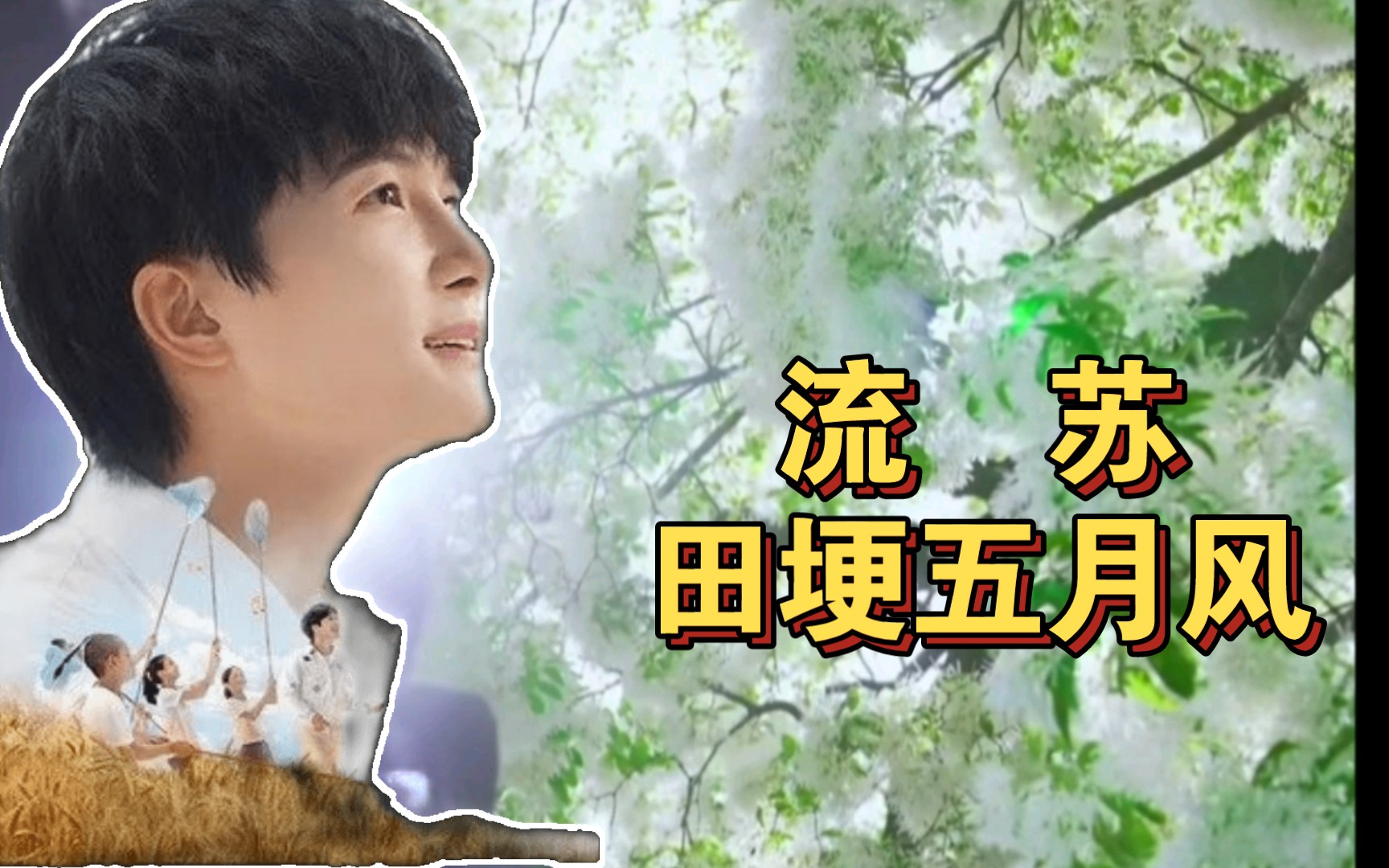 bmg《田埂五月风》_哔哩哔哩_bilibili