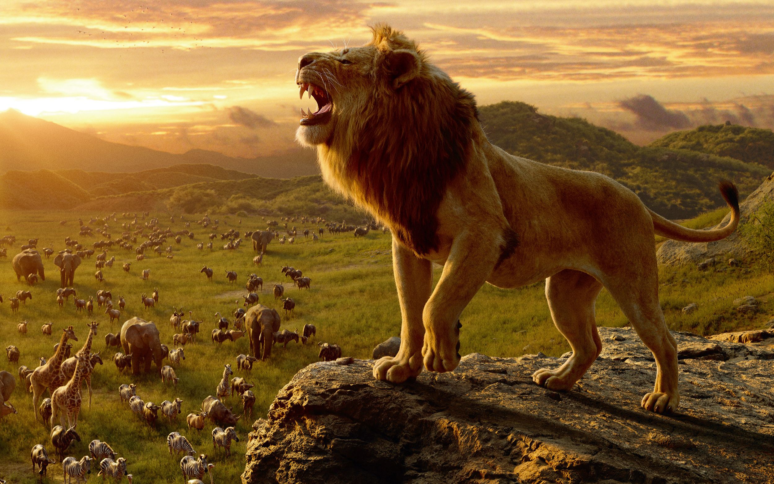 《狮子王》中国定档预告片 定档7月12日提前北美上映
