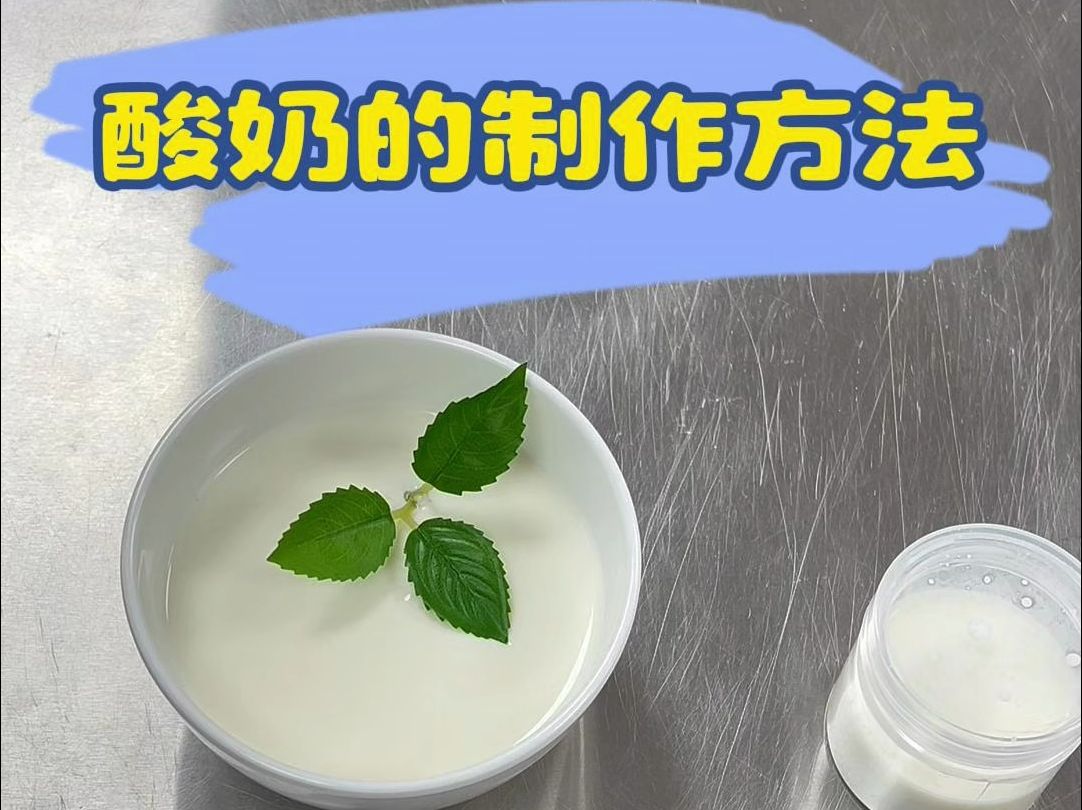 酸奶制作方法