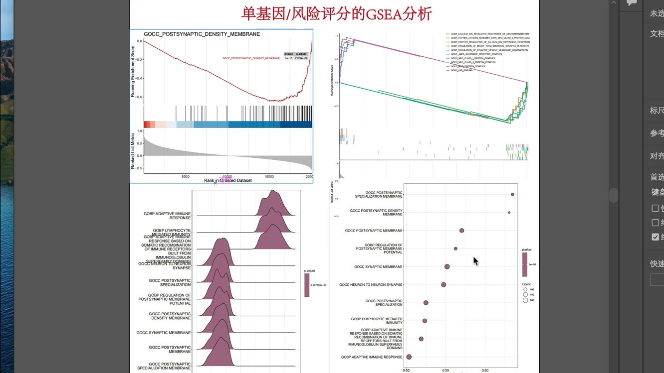 【想学必看】用单基因/风险评分进行GSEA分析哔哩哔哩bilibili