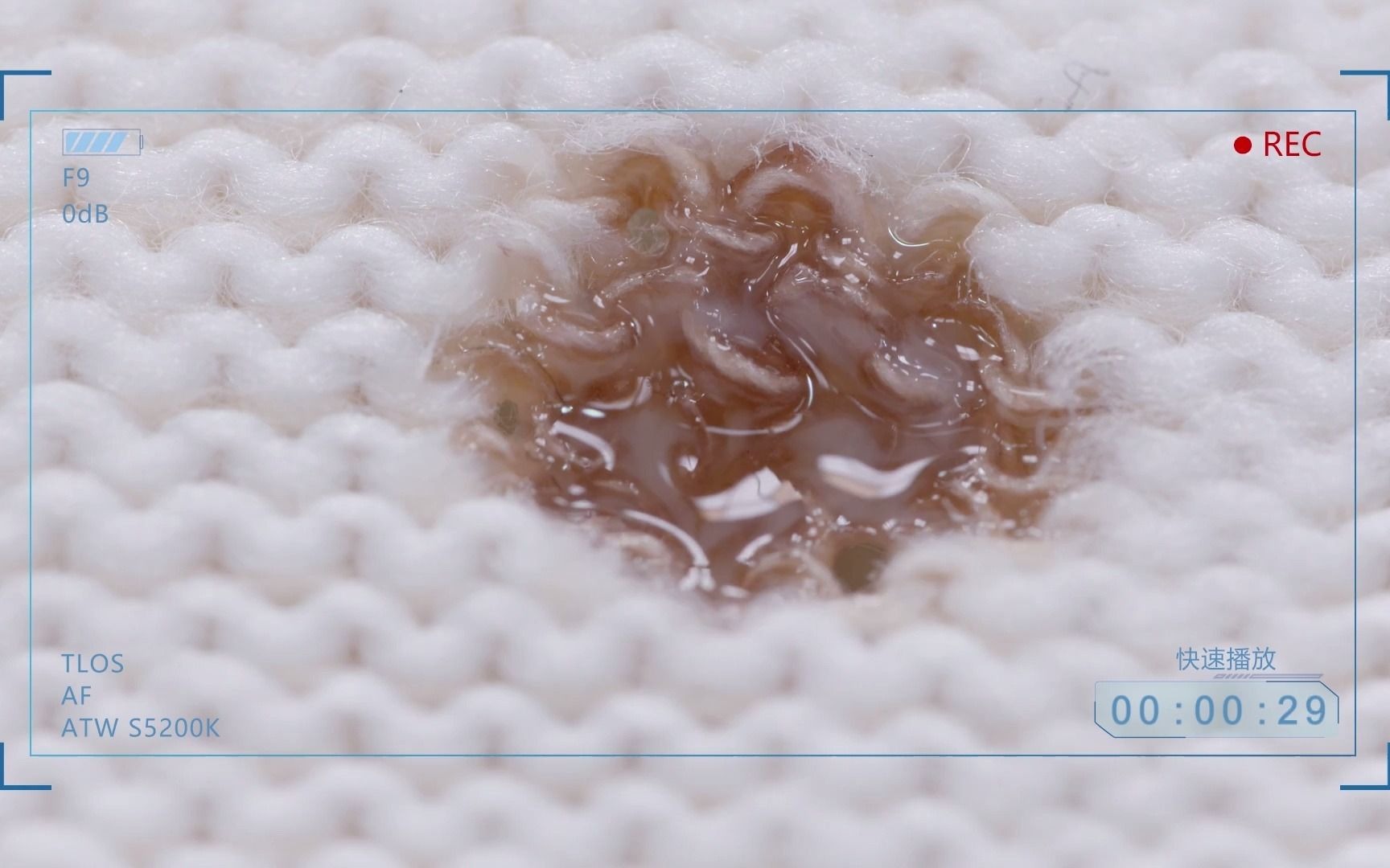 浓硫酸的腐蚀性实验