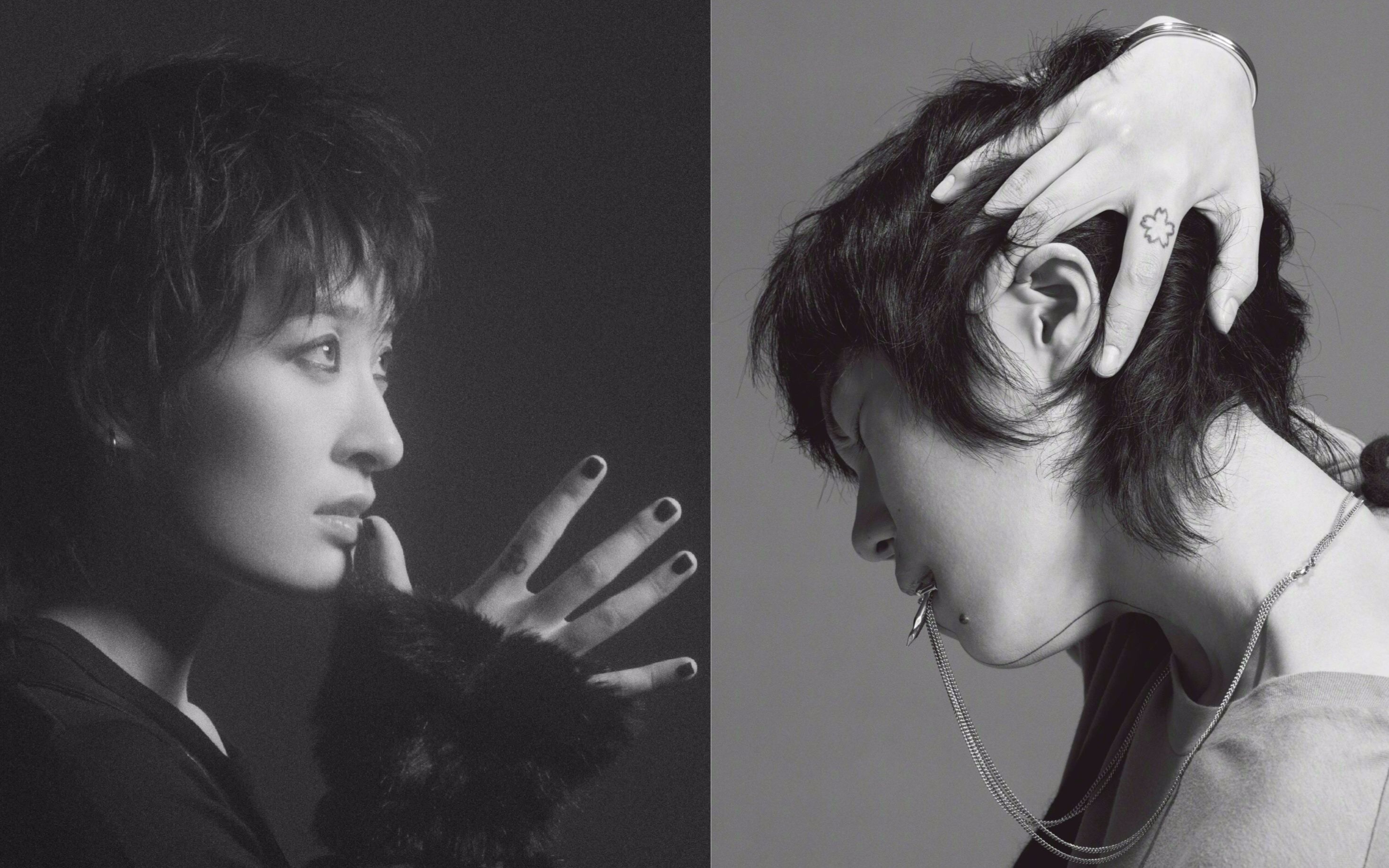 曾轶可窦靖童别放走心底的天使贺生