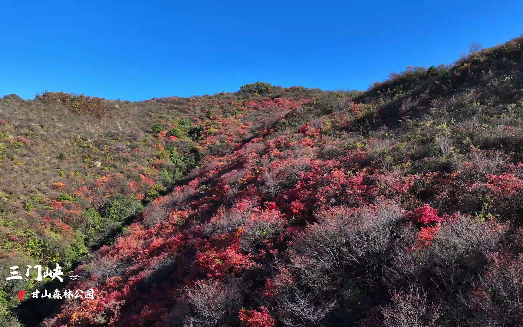 三门峡甘山森林公园