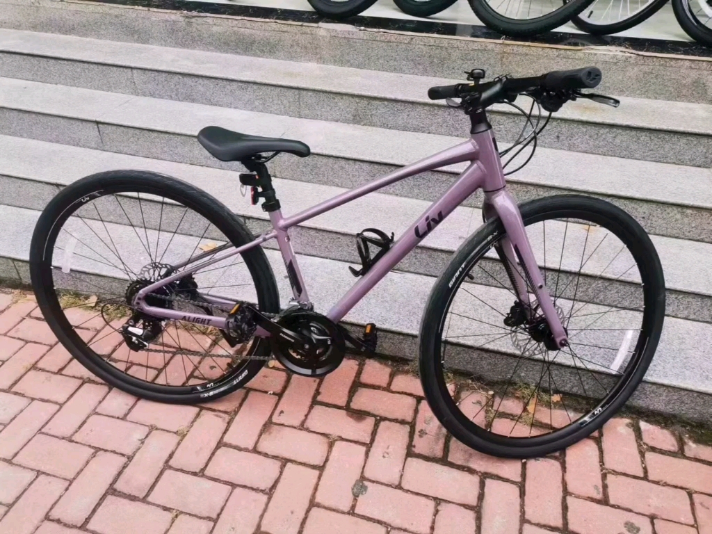 捷安特alight 2 dd,紫灰xs,乌梅子酱色到货啦